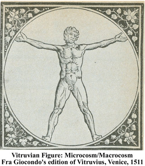 Vitruvius Figure, Circle, Square